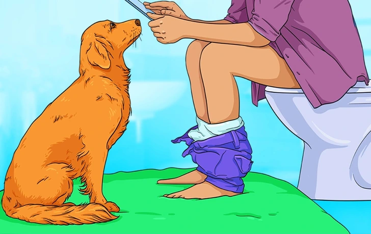 If you own a dog, you've probably experienced the somewhat awkward situation